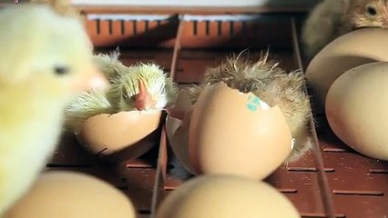 울진출장안마 -후불100%ョOiOs2671s8135｛카톡AQ52｝ 울진전지역출장안마 울진오피걸 울진출장마사지 울진안마 울진출장마사지 울진콜걸샵БГД