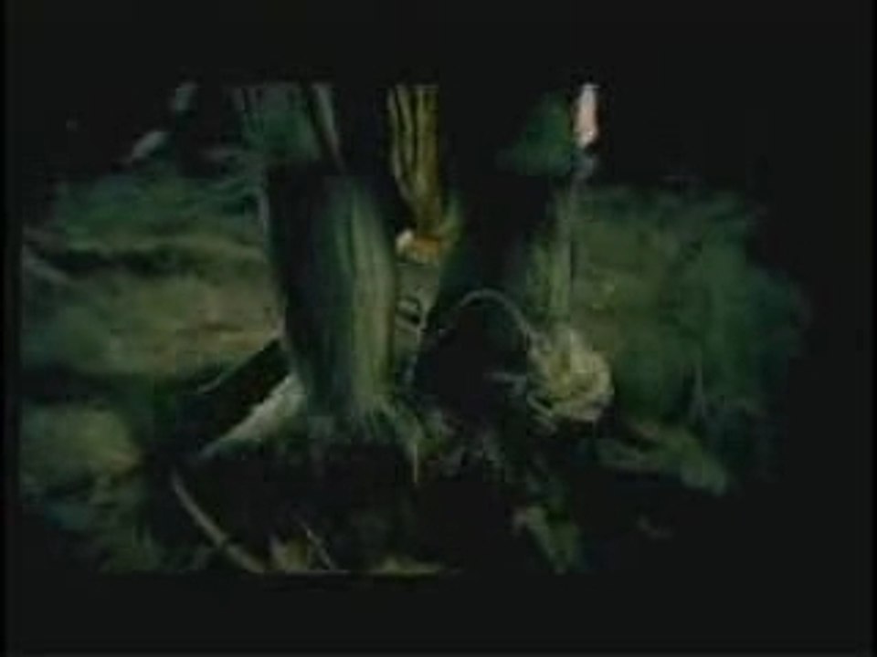 Sepultura : Convicted in Life | clip