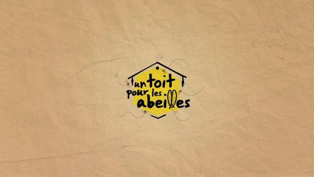 Un toit pour les abeilles : 2019 une année particulièrement difficile pour les abeilles et les apiculteurs