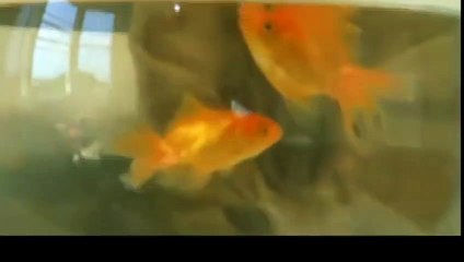 의창구출장안마 -후불100%ョOiOs2671s8135｛카톡ZHF526｝ 의창구전지역출장안마 의창구오피걸 의창구출장마사지 의창구안마 의창구출장마사지 의창구콜걸샵スズセ