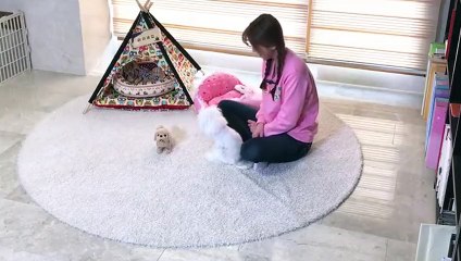 평택출장안마 -후불100%ョO7Os7301s9649｛카톡ZF66｝ 평택전지역출장안마 평택오피걸 평택출장마사지 평택안마 평택출장마사지 평택콜걸샵абв