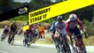 Summary - Stage 17 - Tour de France 2019