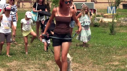 Rencontre avec des fauves à la ferme pédagogique