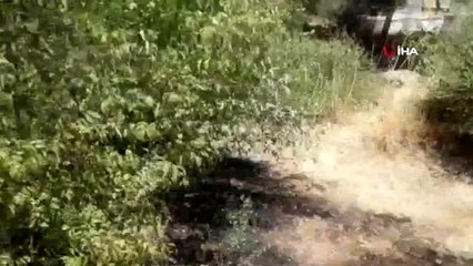 Mezarlıkta çıkan yangın korkuttu