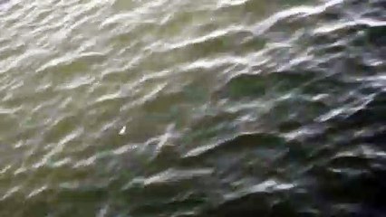 singing floating structures