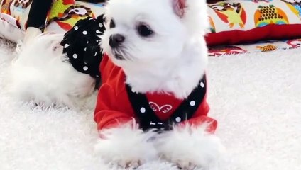 부산출장안마 -후불100%ョOiOE2659E1768｛카톡SN92｝ 부산전지역출장안마 부산오피걸 부산출장마사지 부산안마 부산출장마사지 부산콜걸샵◑
