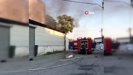 Yanan iş yerinde mahsur kalan köpek kepenkler kesilerek kurtarıldı