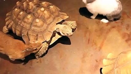 동두천출장타이OiOc2659c1768｛카톡KP93｝ぱ동두천출장안@마ぱ동두천출장샵ぱ동두천출장맛사지 ぱ동두천출장걸썰 동두천출장걸가격 동두천출장러시아 동두천외국인후불출장업소 동두천24시출장마사지샵'예약ъыь