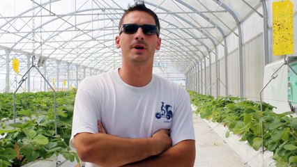 Comment les Aubois s’adaptent à la canicule au travail