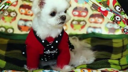 유성구출장안마 -후불100%ョOiOy7685y6221｛카톡MGM1472｝ 유성구전지역출장안마 유성구오피걸 유성구출장마사지 유성구안마 유성구출장마사지 유성구콜걸샵▨¶