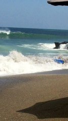 Nature Helps Him Out of the Ocean