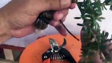 강북출장안마 -후불100%ョØ7ØE5180E1620｛카톡XI74｝ 강북전지역출장안마 강북오피걸 강북출장마사지 강북안마 강북출장마사지 강북콜걸샵сту