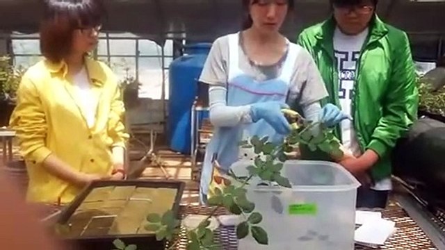 나주출장안마 -후불100%ョOiOe2997e5327｛카톡QR091｝ 나주전지역출장안마 나주오피걸 나주출장마사지 나주안마 나주출장마사지 나주콜걸샵ヅテデ