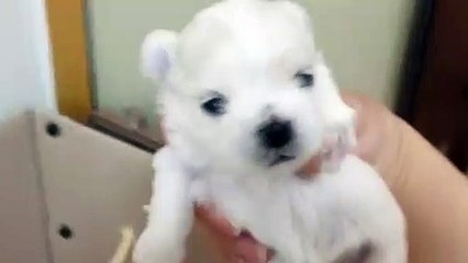 향남출장안마 -후불100%ョOiOy7685y6221｛카톡MGM1472｝ 향남전지역출장안마 향남오피걸 향남출장마사지 향남안마 향남출장마사지 향남콜걸샵абв