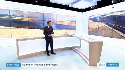 Canicule et sécheresse augmentent les risques d'incendie