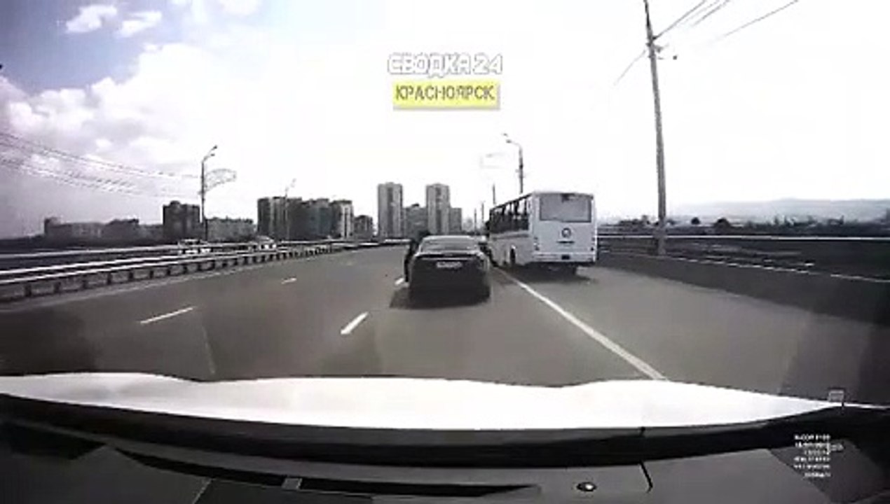 Elle prend d'énormes risques pour sauver un chat en plein milieu de l'autoroute