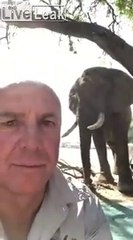 Des campeurs se font surprendre par un éléphant... Terrifiant