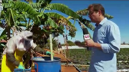 Brasil: Anvisa cambia las reglas para la clasificación de riesgo de agrotóxicos