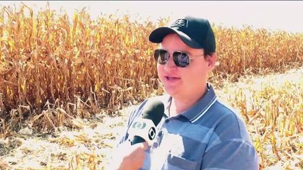 Brasil debe tener una nueva zafra récord de granos