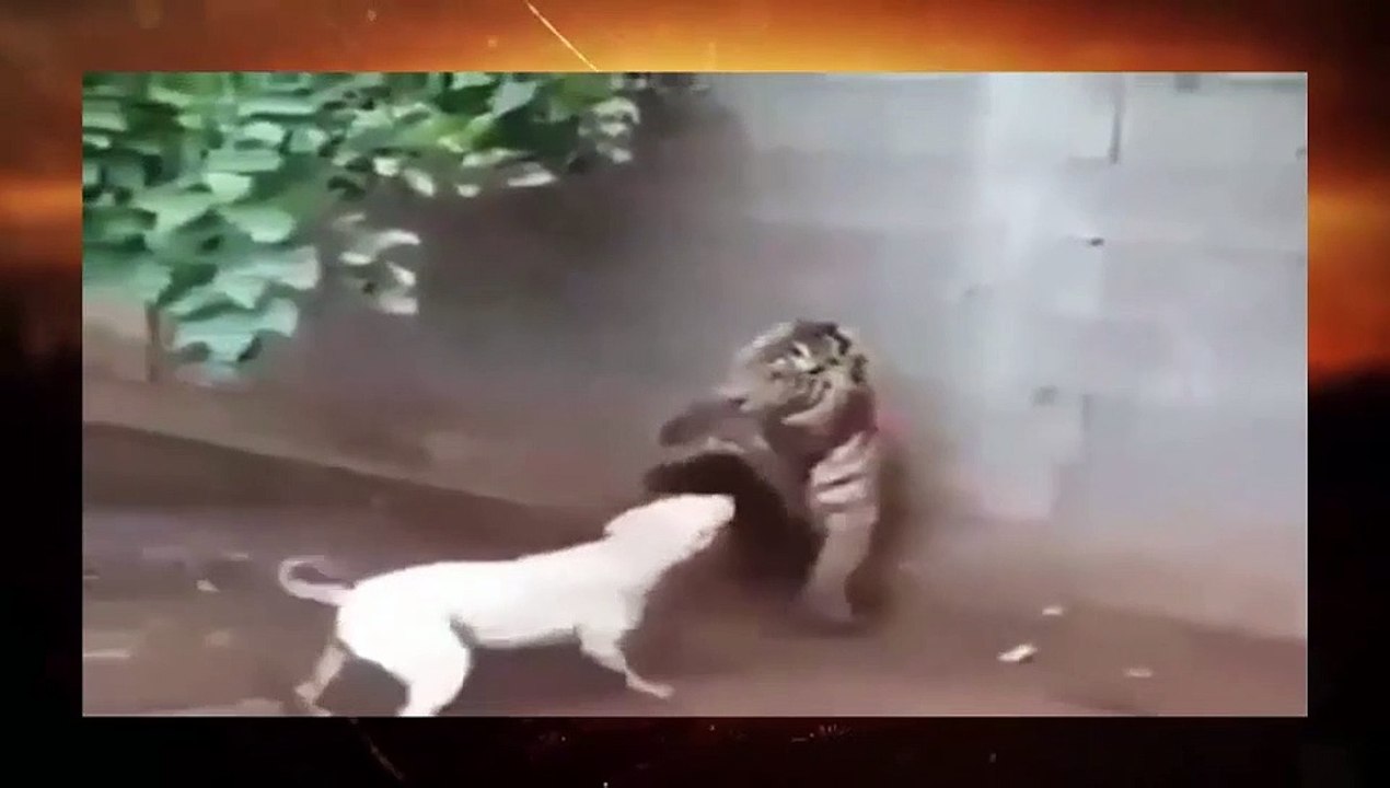 إن الحليم وإذا أثارت حميته مثل العواصف لايبقي ولا يدر