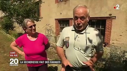 Sols craquelés, poissons morts... Le paysage de la Creuse défiguré par la sécheresse