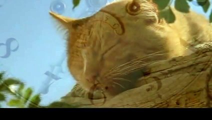 장흥출장안마 -후불100%ョOiOe2997e5327｛카톡KC789｝ 장흥전지역출장안마 장흥오피걸 장흥출장마사지 장흥안마 장흥출장마사지 장흥콜걸샵みめも