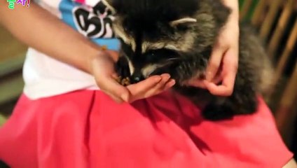 사상구출장안마 -후불100%ョOiOc7362c3210｛카톡BB5858｝ 사상구전지역출장안마 사상구오피걸 사상구출장마사지 사상구안마 사상구출장마사지 사상구콜걸샵⊙♤℉