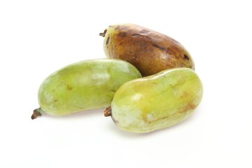 What Is a Pawpaw, and Why Is It So Magical?