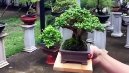 상무출장안마 -후불100%ョO7Oy7575y0069｛카톡RD654｝ 상무전지역출장안마 상무오피걸 상무출장마사지 상무안마 상무출장마사지 상무콜걸샵∑⇒∃