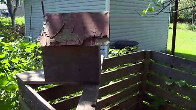 Vert demain : La pratique du zéro déchet pour réduire son empreinte environnementale