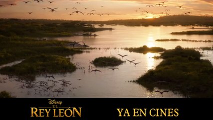 El Rey León Película (2019) - 'Un rey como yo'