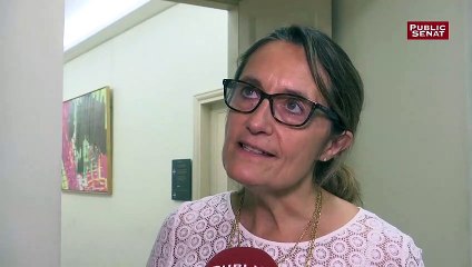 Rénovation thermique des logements : « Nous nous donnons plutôt rendez-vous sur ce point au projet de loi de finances » Sophie Primas