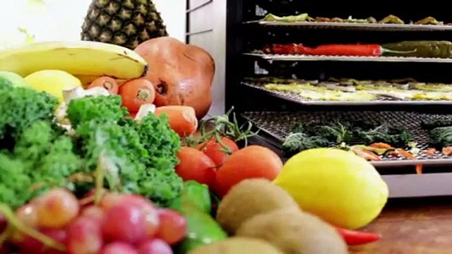 Easy to use Food Dehydrator | BioChef Savana Dehydrator | Vitality 4 Life
