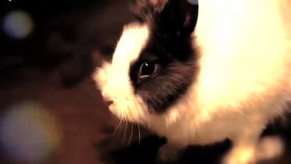 강화출장안마 -후불100%ョ070c5180c1620｛카톡XI74｝ 강화전지역출장안마 강화오피걸 강화출장마사지 강화안마 강화출장마사지 강화콜걸샵ニヌネ