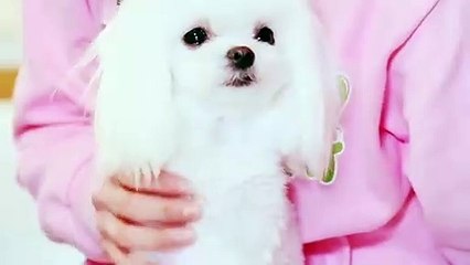 산청출장타이Ø7ØE7575E0048｛카톡XN94｝ぱ산청출장안@마ぱ산청출장샵ぱ산청출장맛사지 ぱ산청출장걸썰 산청출장걸가격 산청출장러시아 산청외국인후불출장업소 산청24시출장마사지샵'예약§∥∏