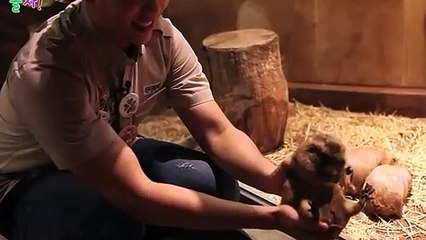 중랑출장타이OiOE2659E1768｛카톡SN92｝ぱ중랑출장안@마ぱ중랑출장샵ぱ중랑출장맛사지 ぱ중랑출장걸썰 중랑출장걸가격 중랑출장러시아 중랑외국인후불출장업소 중랑24시출장마사지샵'예약イゥウ