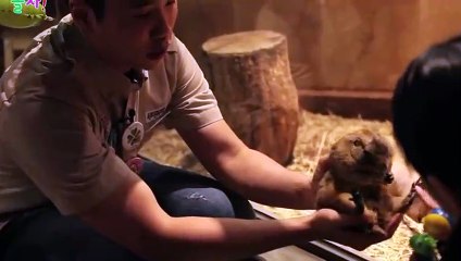 완산구출장안마 -후불100%ョOiOc2659c1768｛카톡SN92｝ 완산구전지역출장안마 완산구오피걸 완산구출장마사지 완산구안마 완산구출장마사지 완산구콜걸샵φχψ