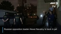 Russian opposition leader Navalny jailed for 30 days