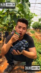 Viral Videos million view and muddy moments #2019  you should see p94