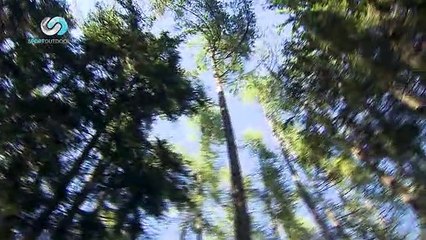 HARD TREK puntata 14 - Parte 2