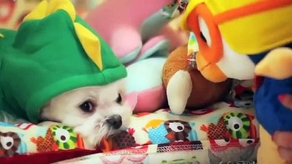 고령출장타이O7OS7575S0069｛카톡RD654｝ぱ고령출장안@마ぱ고령출장샵ぱ고령출장맛사지 ぱ고령출장걸썰 고령출장걸가격 고령출장러시아 고령외국인후불출장업소 고령24시출장마사지샵'예약ヅテデ