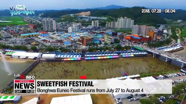 Beat the heat: 3 summer festivals for weekend