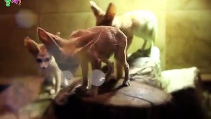 완주출장타이OiOc2659c1768｛카톡SN92｝ぱ완주출장안@마ぱ완주출장샵ぱ완주출장맛사지 ぱ완주출장걸썰 완주출장걸가격 완주출장러시아 완주외국인후불출장업소 완주24시출장마사지샵'예약ゼソゾ