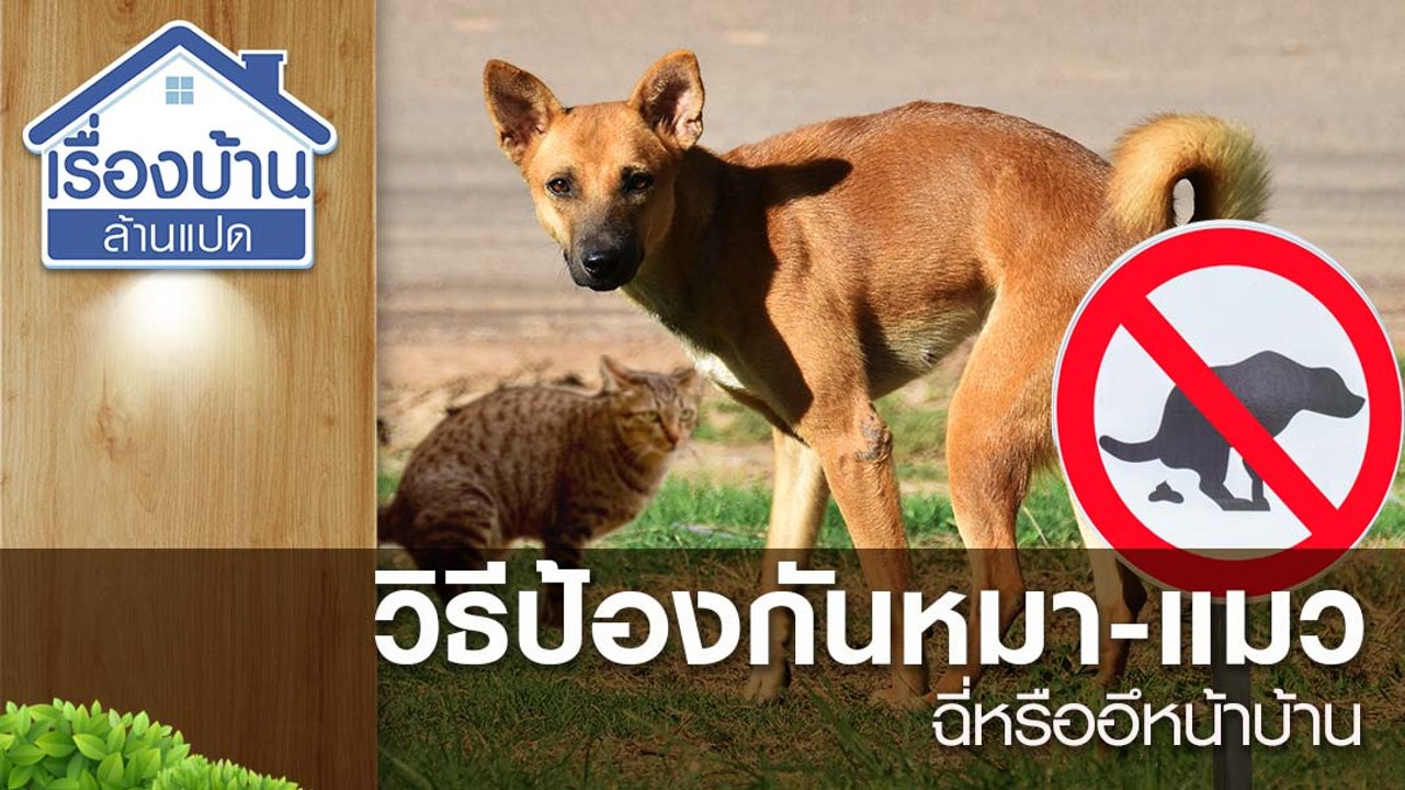 วิธีป้องกันหมา-แมว ฉี่หรืออึหน้าบ้าน