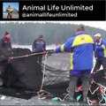 Amazing Net Fishing Under Ice... Big Catch In The River, You Won't Believe That How Many Fish!