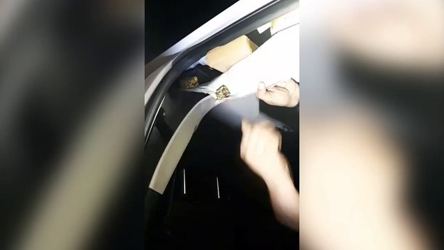 PRF prende motorista que transportava mais de 70 kg de maconha e munições em fundos falsos de Ônix