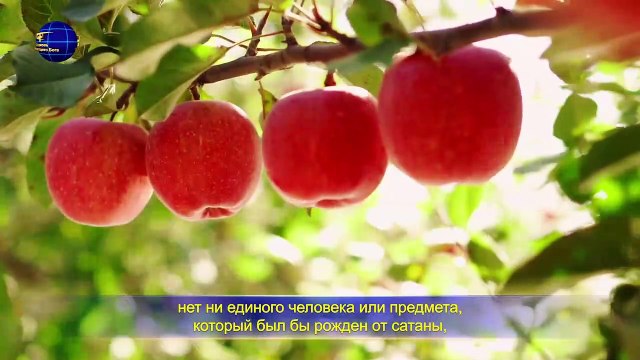 | Евангелие на каждый день «Сам Бог уникален. Часть I Власть Бога (I) » (Отрывок 3)