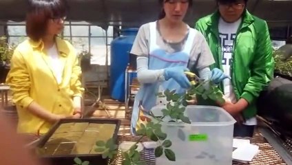 남양주출장타이OiOc7685c6221｛카톡MGM1472｝ぱ남양주출장안@마ぱ남양주출장샵ぱ남양주출장맛사지 ぱ남양주출장걸썰 남양주출장걸가격 남양주출장러시아 남양주외국인후불출장업소 남양주24시출장마사지샵'예약こごさ