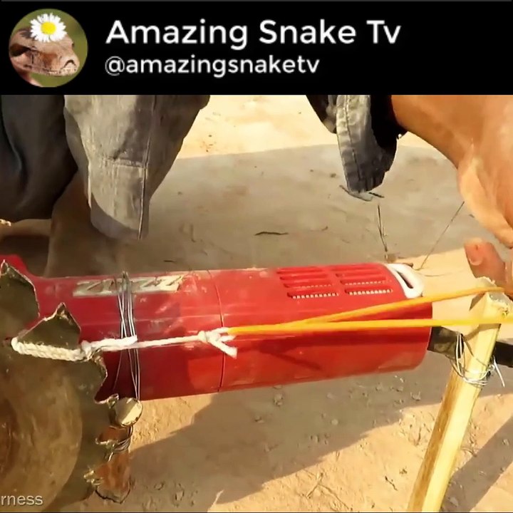 Easy Snake Trap Using Wood Cutting Machine