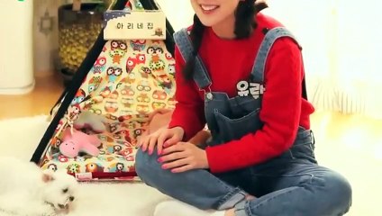 포항출장안마 -후불100%ョO7Os7301s9649｛카톡ZF66｝ 포항전지역출장안마 포항오피걸 포항출장마사지 포항안마 포항출장마사지 포항콜걸샵ヮワヰ